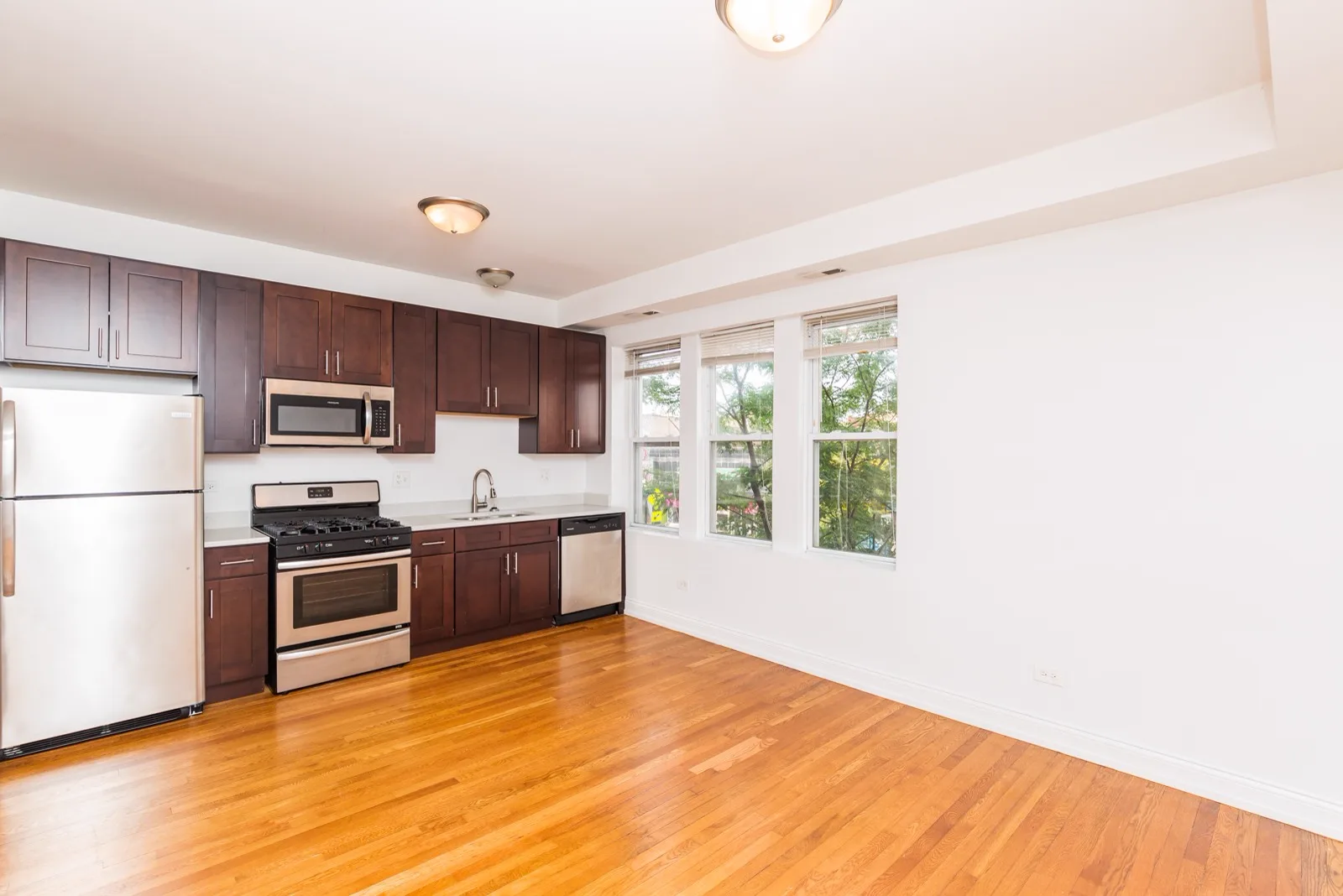 Open living area and kitchen with tree-lined windows